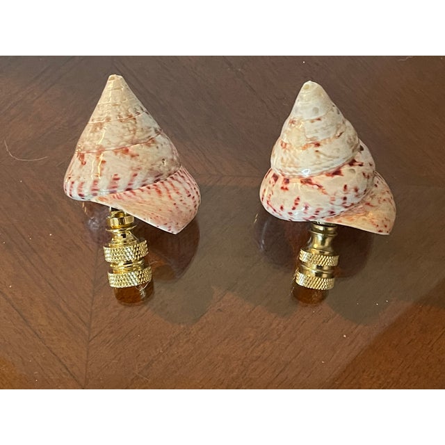 1970s Pair Polished Turbo Shells Lamp Finials For Sale - Image 4 of 4