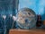 Harmonies of Wings Sculpture in Raku Ceramic from Stefania Zoppellaro, 2025 For Sale - Image 6 of 10