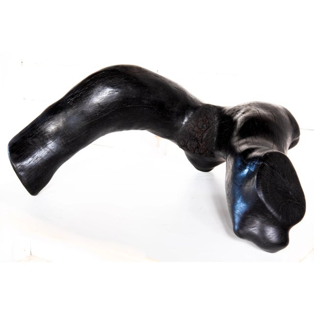 Quercus Eros 1 Sculpture created 2019 The Eros of Nature. Inspired by the Human form, a chopped limb from a Texas Oak tree...