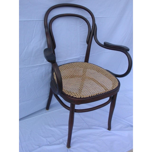 Brown Vienna Straw Chair by J & J Kohn for Jacob & Josef Kohn, 1890s For Sale - Image 8 of 11