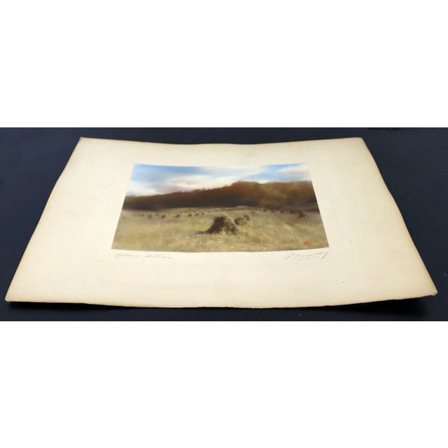 For your consideration is gorgeous and rare antique hand-colored photo print (gelatin silver) titled "Golden Autumn" from...