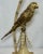 Step into a world of whimsical elegance with this stunning Vintage Hollywood Regency Gold Parrot Tole Palm Tree Table...