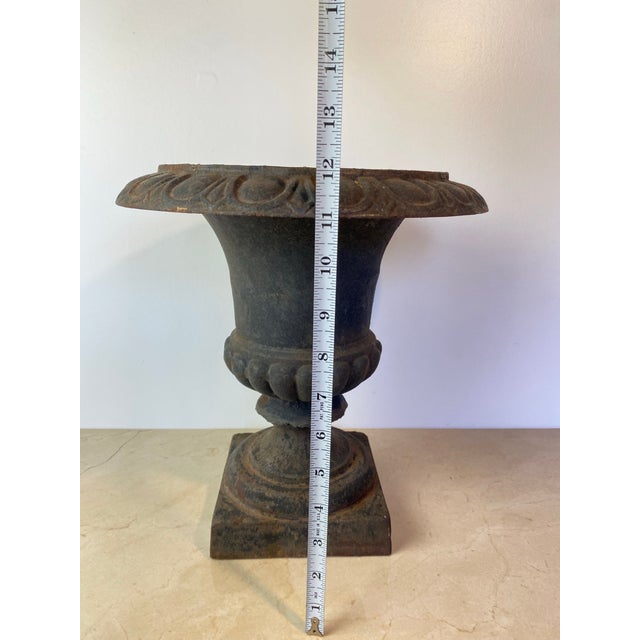 Antique Cast Iron Campana Garden Urn, Egg-and-Dart Rim For Sale In Seattle - Image 6 of 7