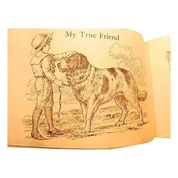 My Book of Surprise Animals, C. 1890 For Sale - Image 5 of 8