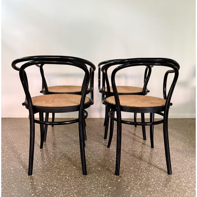 1970s Model B9/209 Armchairs, 1970s, Set of 4 For Sale - Image 5 of 14