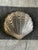 New in Box - Lalique Frosted Crystal Scallop Shell Dish Featuring fine textured radial lines and bead detailing in a...