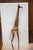 Vintage African Extra Large Bronze Giraffe For Sale - Image 4 of 6
