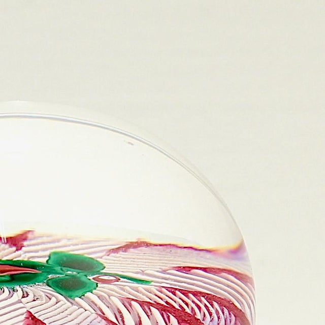 Paul Ysart Poinsettia on a Pink & White Latticino Ground Glass Paperweight For Sale - Image 10 of 10