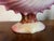 Wedgwood Antique 19th Century Wedgwood Pearlware Centerpiece - Pink Nautilus Sea Shell Compote Tureen For Sale - Image 4 of 16