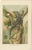 P. J. Smit, The Black Iguana on Banana Tree, 1895, Color Lithograph For Sale - Image 3 of 9