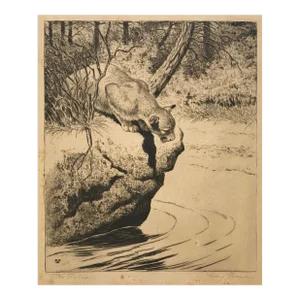 1920s Rodney Thomson Puma Wildlife Etching