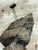 Eduardo Talledos Corazon De Tiburon Surrealist Painting, Signed For Sale - Image 4 of 12
