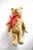 Antique Mohair Jointed Teddy Bear For Sale In San Francisco - Image 6 of 11