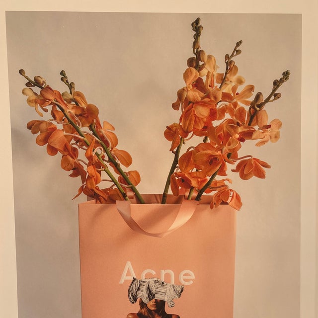 Dina Broadhurst Bagged It / Acne Print For Sale - Image 4 of 5