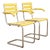 Model 1024 Garden Chairs with Galvanized Steel Tube Frames and Yellow Wooden Slats, 1934, Set of 2 For Sale