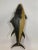 Quality carving of a yellow fin tuna. Painted body. Very well carved with fins, gills, eyes, tail, etc. Reminiscent of the...