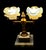 1950s Art Nouveau Style Double Arm Table Lamp With Frosted Floral Shaped Art Glass Shades For Sale - Image 10 of 15