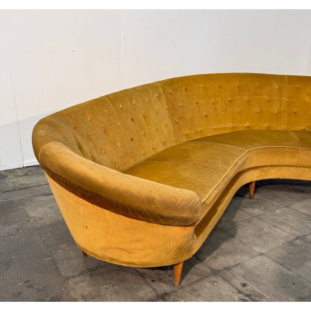 Yellow Curved Velvet Sofa by Federico Munari With Matching Armchairs, Italy, 1950s For Sale - Image 8 of 9