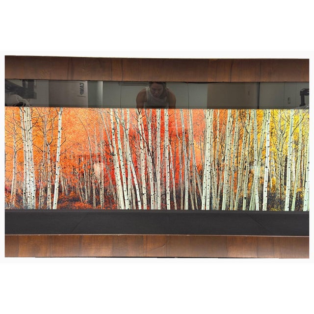 Peter Lik “Harmony” — Artist’s Proof Ap 44/45 | Large Framed Fine Art Photograph For Sale - Image 10 of 14