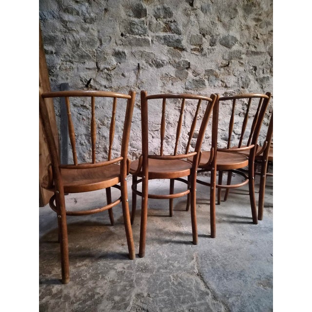 1940s Bentwood Bistro Chairs from Fischel, Former Czechoslovakia, 1930s, Set of 6 For Sale - Image 5 of 18