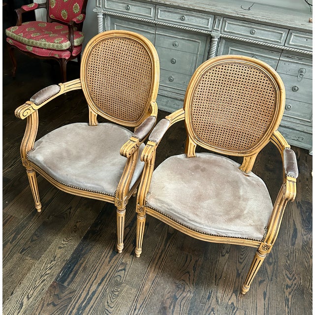 Pair Fratelli Boffi Italy ~ Louis XVI Cane Back Arm Chairs For Sale - Image 11 of 11