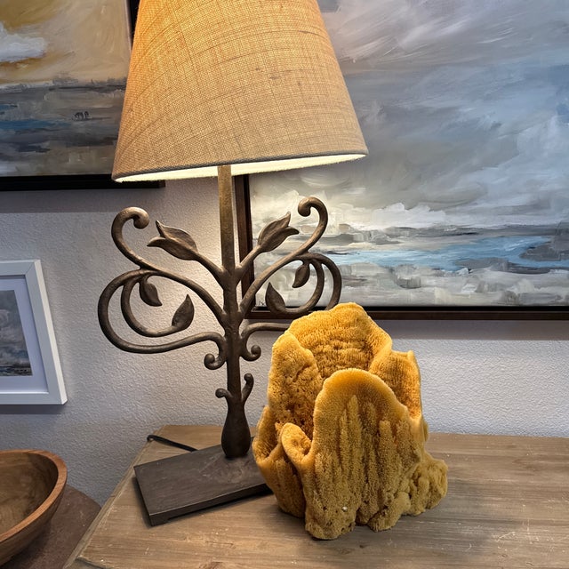 Incredible Large Sea Sponge Vase Specimen For Sale - Image 6 of 7