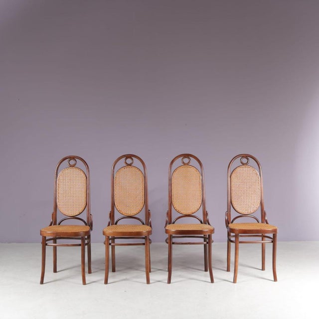 Long John Chairs from FMG, Poland, 1950s, Set of 4 For Sale - Image 9 of 9
