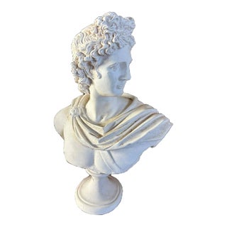 Classical Plaster Bust of Apollo Belvedere | Italian Mythological Sculpture For Sale