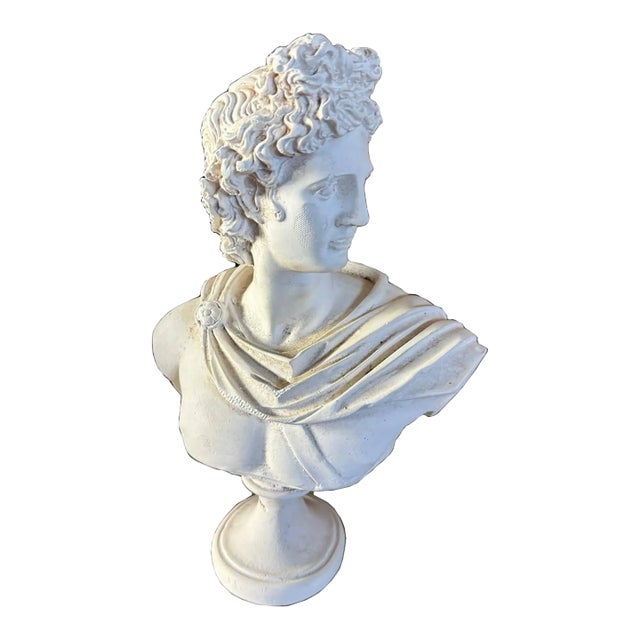Classical Plaster Bust of Apollo Belvedere | Italian Mythological Sculpture For Sale