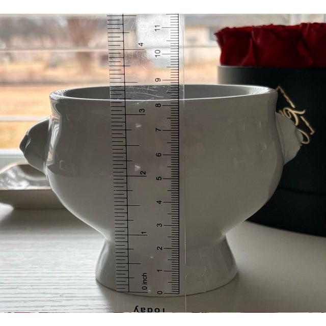 Bodum French White Porcelain Lion Head Soup Bowls - Set of 4 For Sale - Image 11 of 14