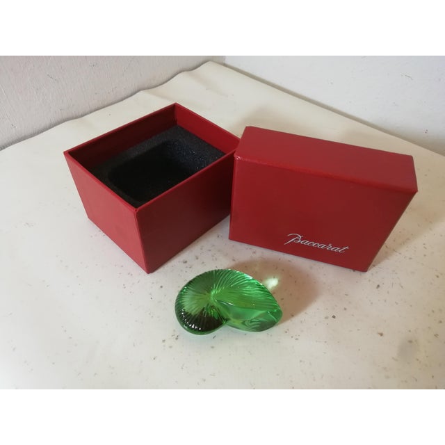 Baccarat Baccarat Crystal Nautilus Shell, France, 1980s For Sale - Image 4 of 9