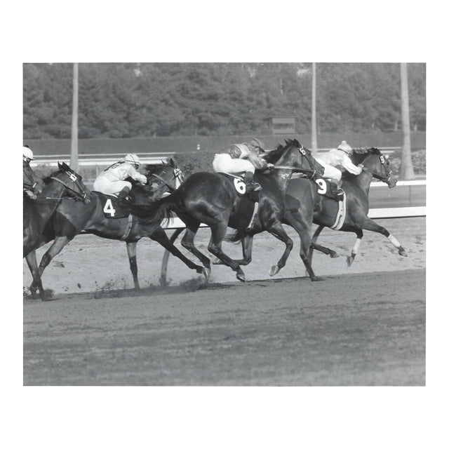 1964 Don Ware Hollywood Park Equestrian Photograph For Sale