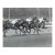 1964 Don Ware Hollywood Park Equestrian Photograph For Sale