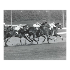 1964 Don Ware Hollywood Park Equestrian Photograph