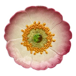 French Majolica Wild Rose Plate Delphin Massier Circa 1890 For Sale