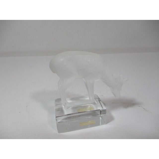 Lalique Deer Crystal Figurine For Sale - Image 10 of 13