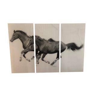 Horse Triptych Art For Sale