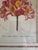This is a framed botanical print featuring a detailed illustration of an Azalea, known for its vibrant floral colors. The...