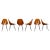 Set of six Medea chairs designed by Vittorio Nobili for Fratelli Tagliabue in 1956. These iconic chairs are made of beech...