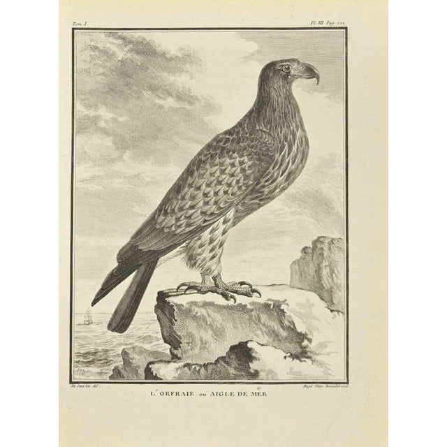 The orfraie is an etching realized by Madeleine Rousselet in 1771. The artwork Belongs to the suite "Natural, general and...