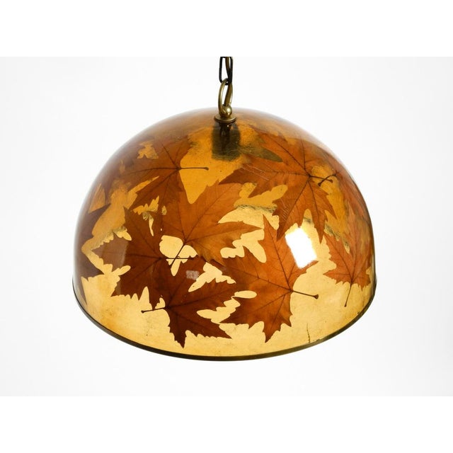 Metal Large Italian Resin Pendant Lamp with Embedded Maple Leaves, 1970s For Sale - Image 7 of 18
