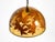 Metal Large Italian Resin Pendant Lamp with Embedded Maple Leaves, 1970s For Sale - Image 7 of 18