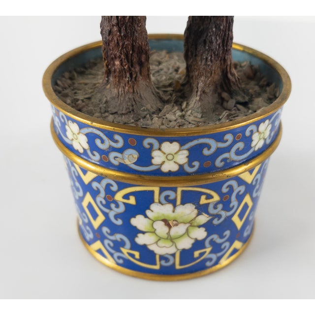 Chinese Chinoiserie Jade Tree With Cloisonne Planter Chairish