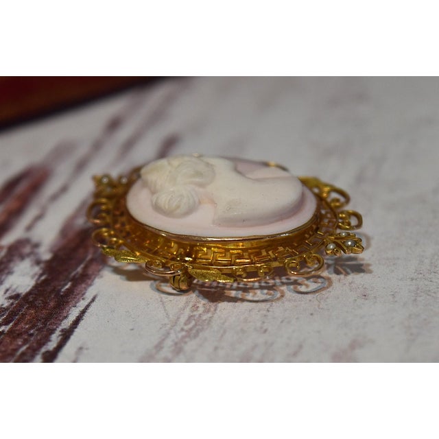 Blush Antique 14k Conch Shell Cameo With Seed Pearls Brooch and Pendant For Sale - Image 8 of 13