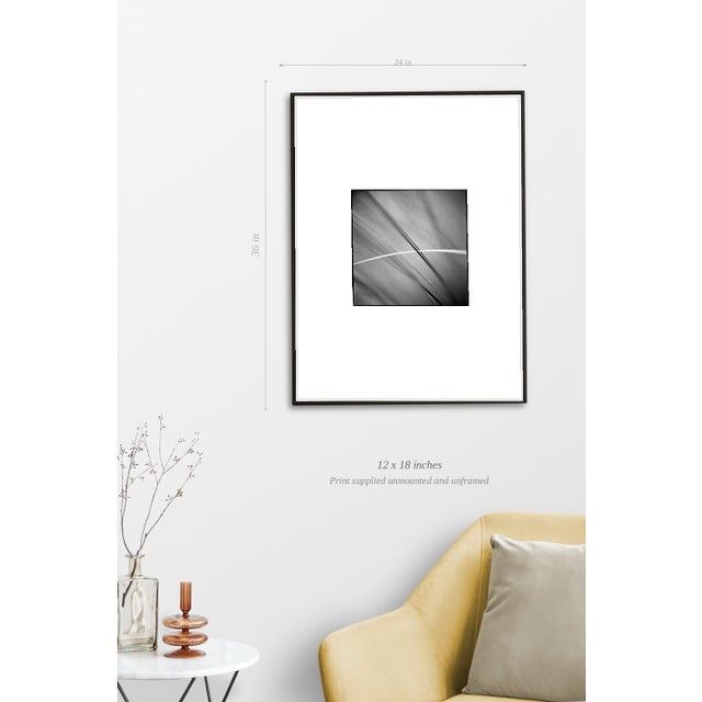 Paul Cooklin, Grass #III, Edition of 50 For Sale - Image 4 of 7