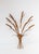 Metal Italian Gilt Metal Wall Sconce with Leaves and Ears of Wheat, 1960s For Sale - Image 7 of 7