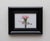 In "The Golden Hive," a delicate pink carnation is elegantly juxtaposed with a geometric honeycomb structure, creating a...