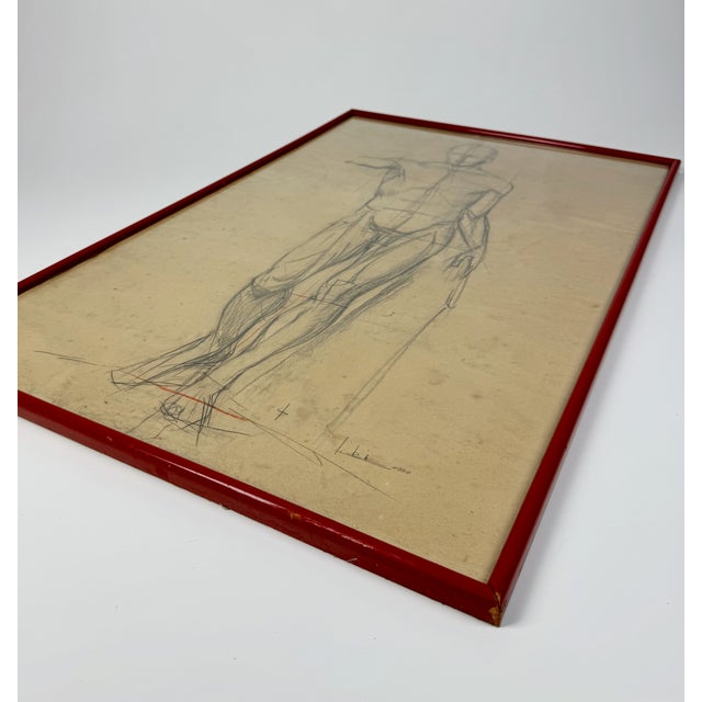 1950s Anatomical Sketch, 1950, Pencil on Paper, Framed For Sale - Image 5 of 7