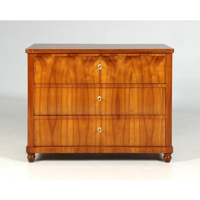 Antique Biedermeier Chest of Drawers, 1840 For Sale - Image 11 of 11