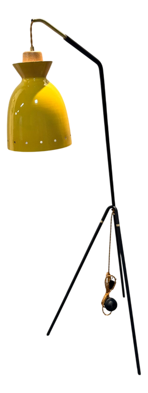 Mid-Century Floor Lamp, 1960s